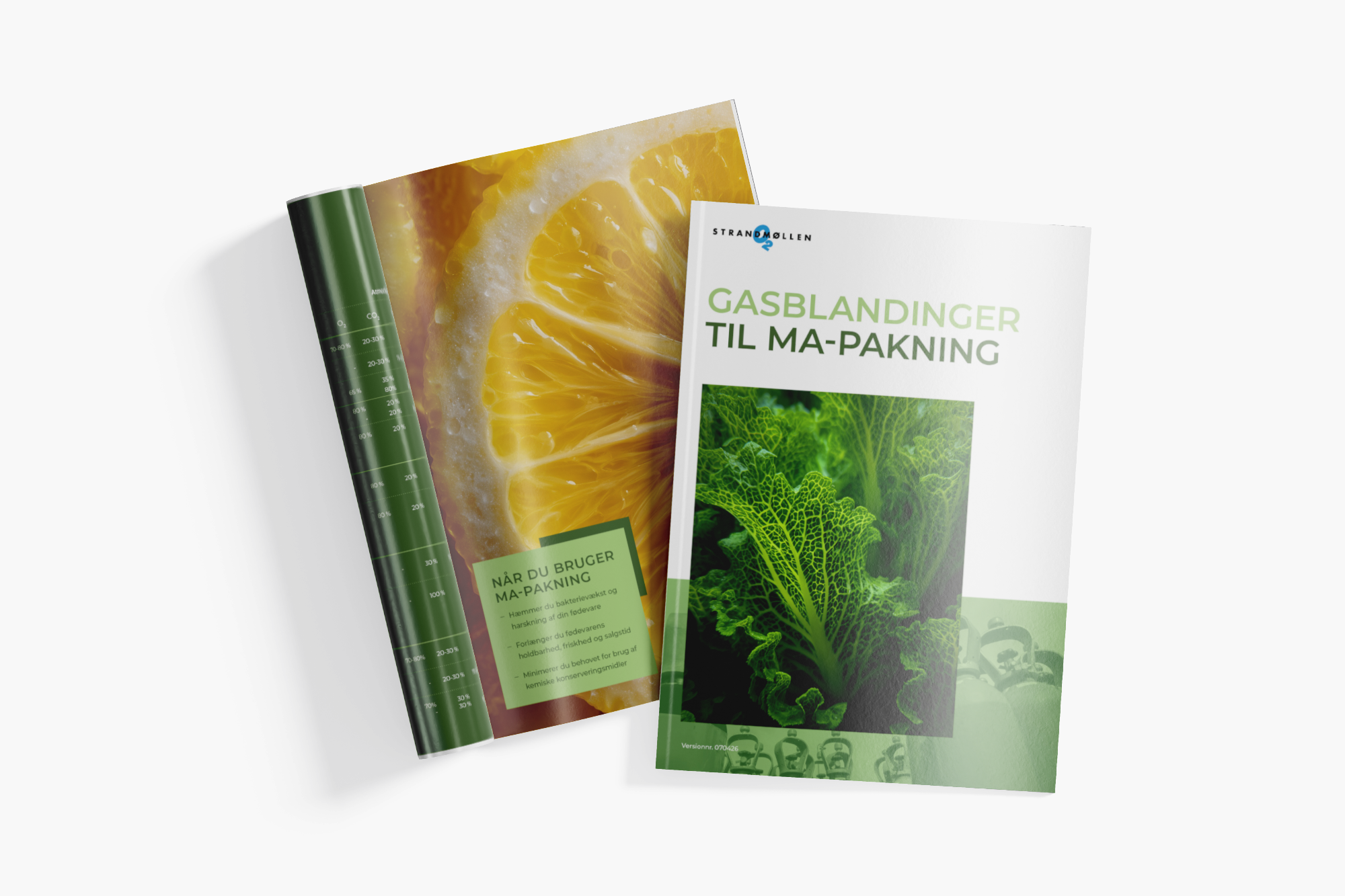 Brochure om gasblandinger til MA-pakning